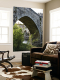 Medieval Fortified Bridge over Fluvia River Prints by Dennis Johnson