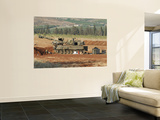 An M109 Self-Propelled Howitzer of the Israel Defense Forces Posters by  Stocktrek Images