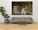 A Portrait of Two Captive Siberian Tigers Posters par Dr. Maurice G. Hornocker