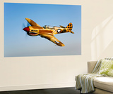 A P-40N Warhawk in Flight Prints by  Stocktrek Images