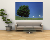 View of a Lone Tree on a Hillside in Summer Prints