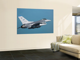 F-16 Fighting Falcon Posters