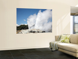 Pohutu and Prince of Wales Feathers Geyser, Whakarewarewa, Rotorua, New Zealand Posters by  Stocktrek Images