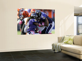 Bengals Ravens Football: Baltimore, MD - Ray Lewis Kunstdrucke von Nick Wass