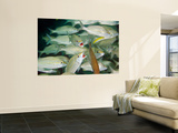 A School of Smallmouth Grunts, Key Largo, Florida Prints by  Stocktrek Images