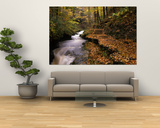 Buttermilk Creek, Ithaca, New York State, USA Prints