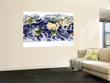 This Spectacular Image is the Most Detailed True-Color Image of the Entire Earth to Date Prints