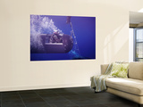 A Seal Delivery Vehicle on Tether with a Buoy Recovery Line Posters by  Stocktrek Images