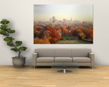 Autumn Trees in a City, Hartford, Connecticut, USA Prints