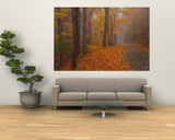 Autumn Road, Monadnock Mountain, New Hampshire, USA Posters