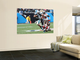 Buccaneers Panthers Football: Charlotte, NC - Jonathan Stewart Prints by Rick Havner