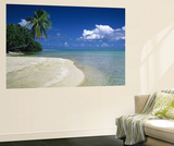 Palm Tree on the Beach, French Polynesia Print