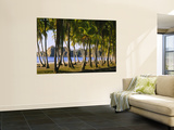 Palm Trees on the Beach, Carrillo Beach, Nicoya Peninsula, Guanacaste Province, Costa Rica Poster