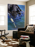Navy Seal Combat Swimmer Art