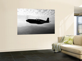 A P-51A Mustang in Flight Prints by  Stocktrek Images