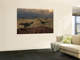 An Allosaurus Dinosaur Spies a Group of Young Diplodocus Herbivores Posters par  Stocktrek Images