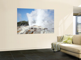 Pohutu and Prince of Wales Feathers Geyser, Whakarewarewa, Rotorua, New Zealand Posters by  Stocktrek Images
