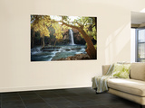 Scenic View of a Waterfall on Havasu Creek Posters by W.E. Garrett