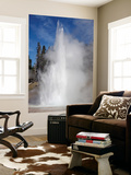 Grand Geyser Erupting, Upper Geyser Basin Geothermal Area, Yellowstone National Park Prints by  Stocktrek Images