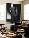 Bobby Darin Art