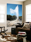 Lady Knox Geyser, Wai-O-Tapu Geothermal Area, Taupo Volcanic Zone, New Zealand Prints by  Stocktrek Images