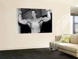 Arnold Schwarzenegger Affiches