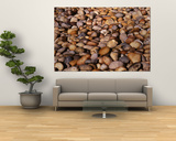Cobble Stone Near Lake, Bass Lake, California, USA Poster