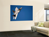 An F-22 Raptor Aircraft Performs During Aviation Nation 2010 Prints by  Stocktrek Images