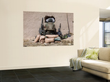A U.S. Marine Sniper Observes His Sector at a Patrol Base Near Sangin, Afghanistan Print by  Stocktrek Images