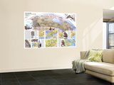 Canada Vacationlands Map 1985 Posters
