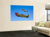 A P-40E Warhawk and a P-51D Mustang Kimberly Kaye in Flight Art by  Stocktrek Images