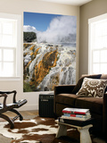 Pohutu and Prince of Wales Feathers Geyser, Whakarewarewa, Rotorua, New Zealand Art by  Stocktrek Images