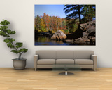 Deciduous Trees along Moose River, Adirondack Mountains, Adirondack State Park, New York, USA Posters