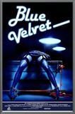 Blue Velvet Framed Canvas Print Blue Velvet Framed Canvas Print