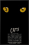 Cats Framed Canvas Print