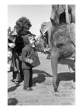 WWD - March 1972 - Arrival of the Ringling Bros. Circus in New York Premium Photographic Print by Nick Machalaba