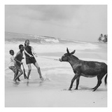 Vogue - January 1968 - Veruschka Playing with Brazillian Boys and Donkey Premium Photographic Print by Franco Rubartelli