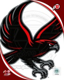 University of Utah Utes Team Logo Photo