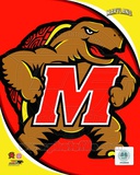 University of Maryland Terrapins Team Logo Photo