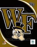 Wake Forest University Demon Deacons Team Logo Photo Wake Forest University Demon Deacons Team Logo Photo