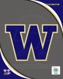 University of Washington Huskies Team Logo Photo