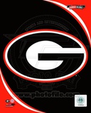 University of Georgia Bulldogs Team Logo Photo