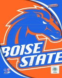 Boise St. University Broncos Team Logo Fotografía