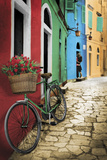 Bike Flowers Posters