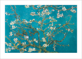 Van Gogh-Almond Blossom Kunst Van Gogh-Almond Blossom Kunst