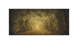 Evergreen Old Allee Study 1 Giclée-Druck von William Guion