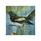 Magpie No. 1 Giclee Print by John Golden