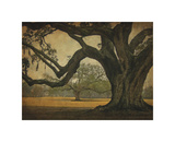 Two Oaks in Rain, Audubon Gardens Giclee Print by William Guion