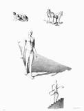 Composition Collectable Print by Jean Gourmelin