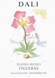 Teatro Museo Figueras 3 Reproductions pour les collectionneurs par Salvador Dalí